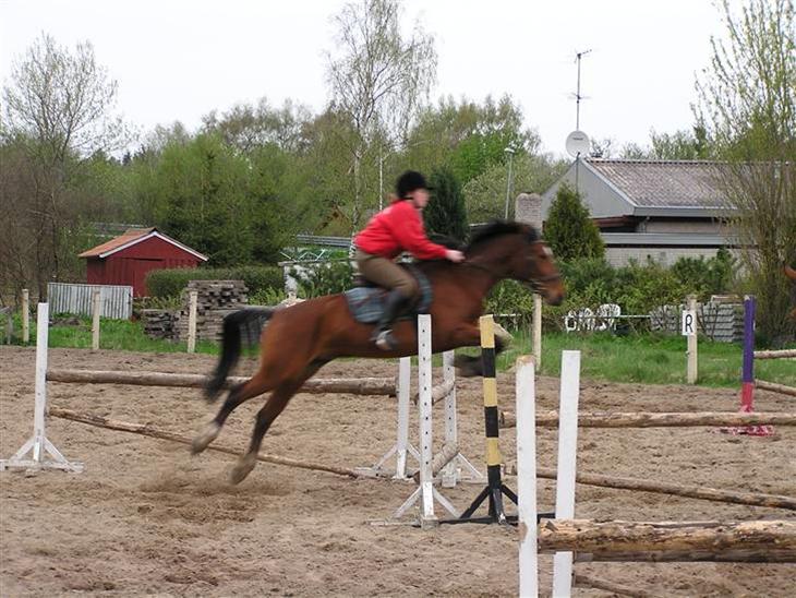 {{currentPhoto.altText}} billede {{currentPhoto.number}}