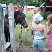 Anden særlig race Lucky
