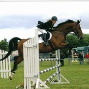 Dansk Varmblod Lykeion