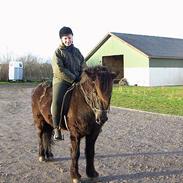 Islænder Kolfinnur Gudenådalen