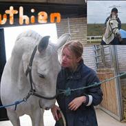 Dansk Varmblod smukke Luthien