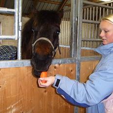 Anden særlig race Lucky