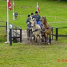 Frederiksborg Zharie af Nordmarken