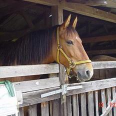Frederiksborg Zharie af Nordmarken