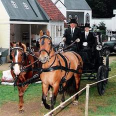 Frederiksborg Zharie af Nordmarken