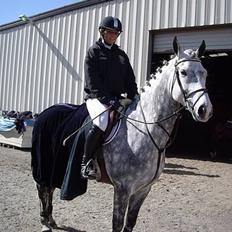 Anden særlig race Misty Way "Tommy" (solgt)