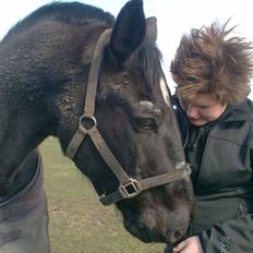 Anden særlig race  - Holst./OL - Picasso