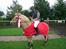 Fjordhest Vængets Liza - fynsmester i ponygalop 2006