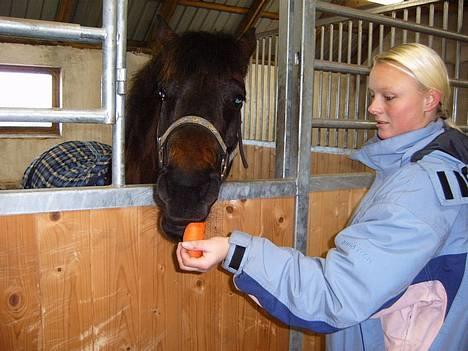 Anden særlig race Lucky - Er jeg ikke bare sød billede 2
