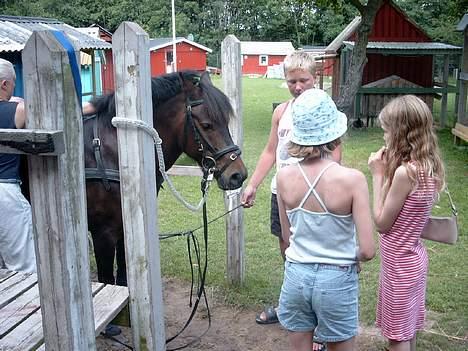 Anden særlig race Lucky - Her er nogen af mine børne venner billede 3