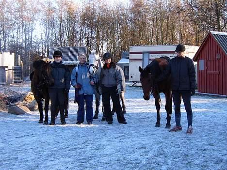 Anden særlig race Lucky - Her har jeg så mine vemner med hjem billede 7