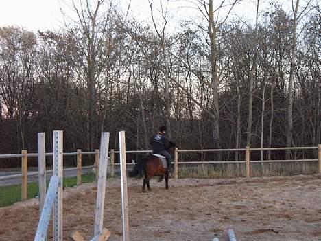 Anden særlig race Lucky billede 9