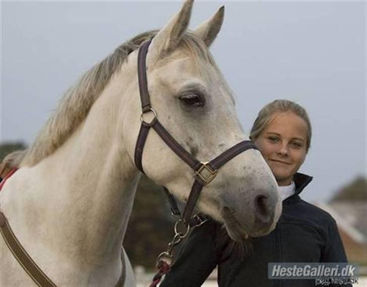 Anden særlig race Bacardi Solgt :'( - Bacardi og jeg står og venter på at starte TBR derby.  billede 1