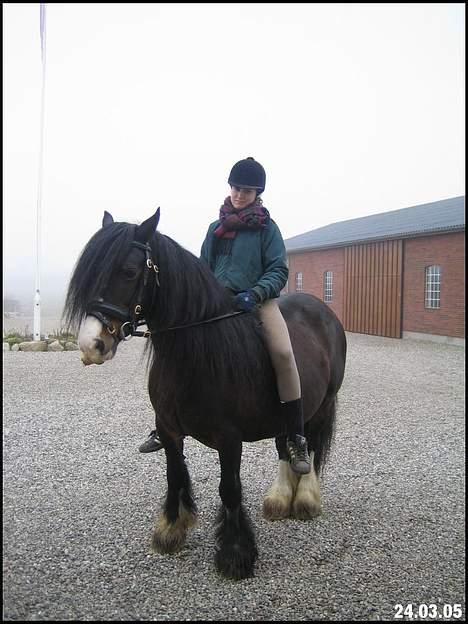 Tinker Holm's Skye Dancer - 2. tur på hende billede 6