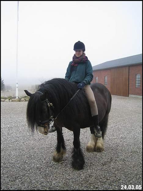 Tinker Holm's Skye Dancer - 2. tur på hende billede 7