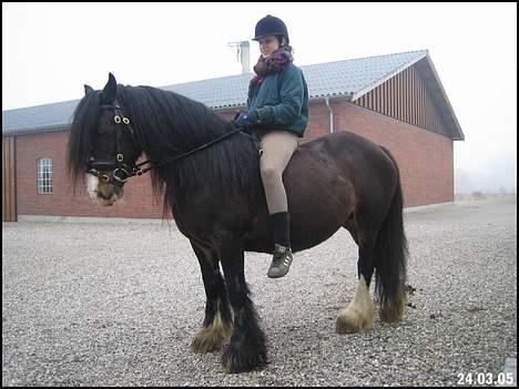 Tinker Holm's Skye Dancer - 2. tur på hende billede 8