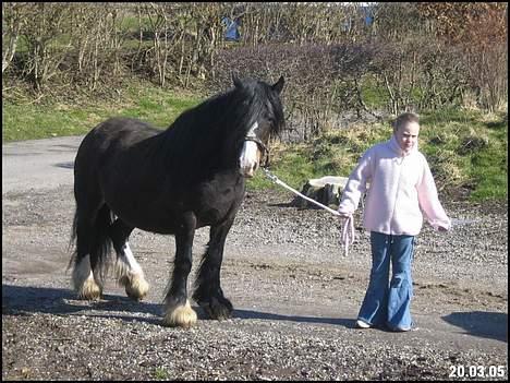 Tinker Holm's Skye Dancer - Skye og min kusine billede 10