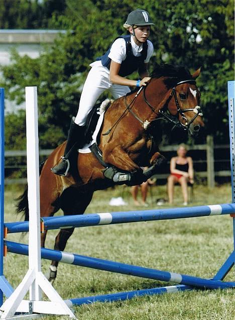 New Forest Kvægenbjergs Scheik RIP - *NYT* Her er Scheik og jeg i vores første LA til ponyuge 2006. Fotograf: Photo2u billede 1