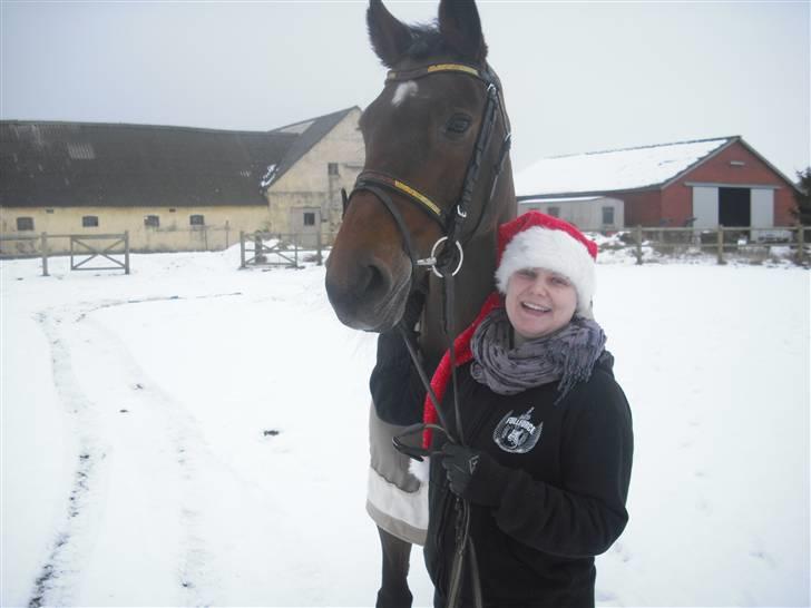Dansk Varmblod Lori - Min hest  - Skønt med sne, min dejlige Dame :) billede 3