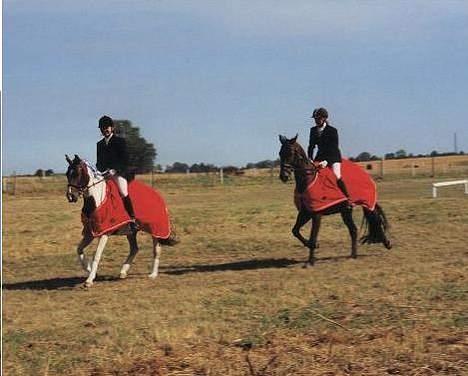 Pinto Indira Lucy - Lucy og mig på æresrunde efter at have vundet klubmesterskab pony dressur 2003:) billede 2