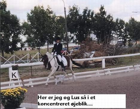 Pinto Indira Lucy - Lucy til klubmesterskab 2003 billede 4