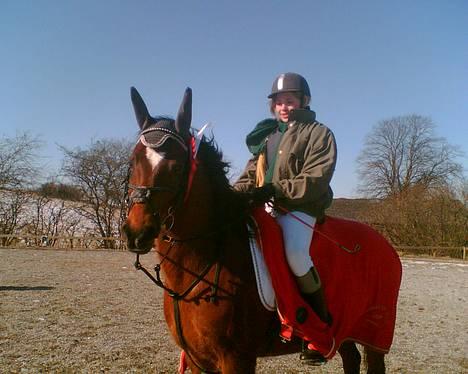 New Forest Kvægenbjergs Scheik RIP - Her tager vi lige en slapper efter vi vandt en LC i spring <3 Fotograf: Anne M billede 9