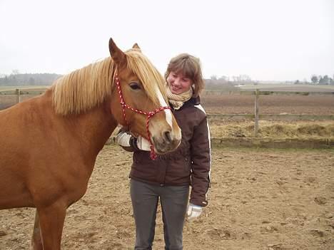Anden særlig race Campari billede 6