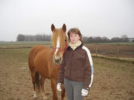 Anden særlig race Campari billede 8