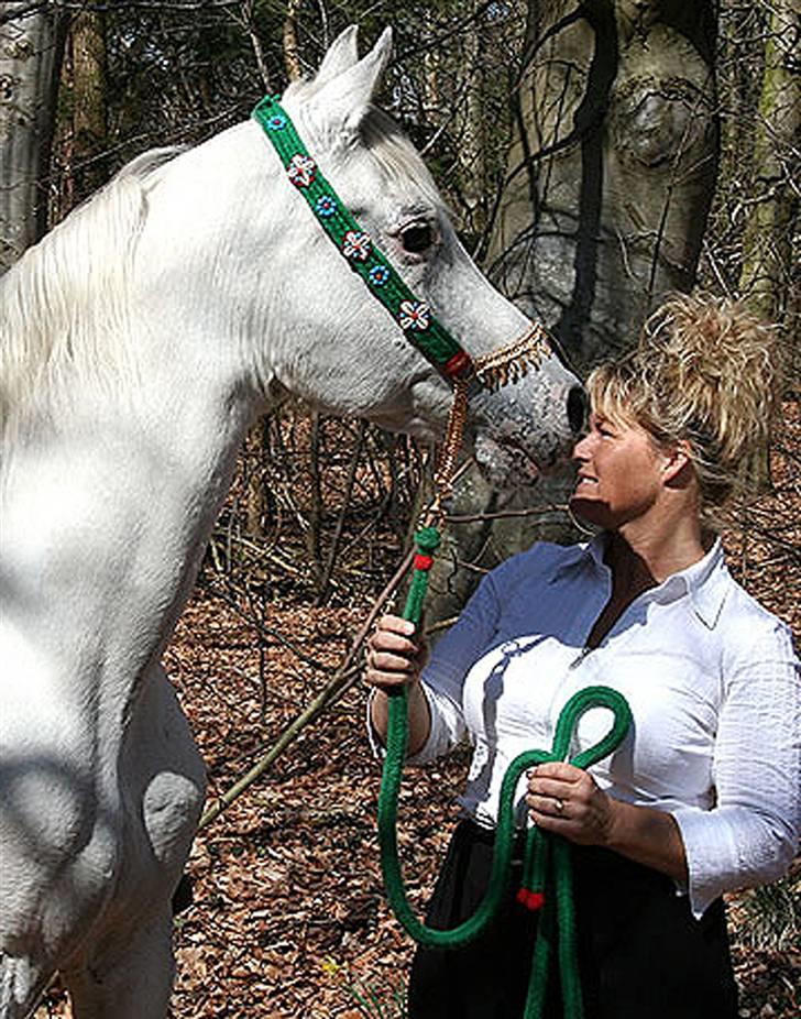 Arabisk fuldblod (OX) Basta R.I.P. blev 27½ år - Basta min bedste ven igennem 27½ år. billede 1