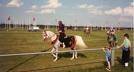 Arabisk fuldblod (OX) Basta R.I.P. blev 27½ år - Basta & jeg som beduiner i 1984 Herning billede 5