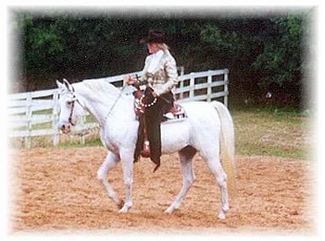 Arabisk fuldblod (OX) Basta R.I.P. blev 27½ år - Basta & jeg til stævne 2002 billede 6