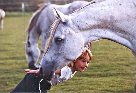 Arabisk fuldblod (OX) Sawannah SCID/CA fri - Melissa & Sawannah.... Sawannah tænker nok...hvad er det hun laver!?? billede 3