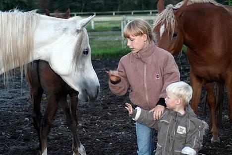 Arabisk fuldblod (OX) Sherifa SCID/CA fri - Sherifa, Melissa 8 år & Finn 2 år 2005 billede 2