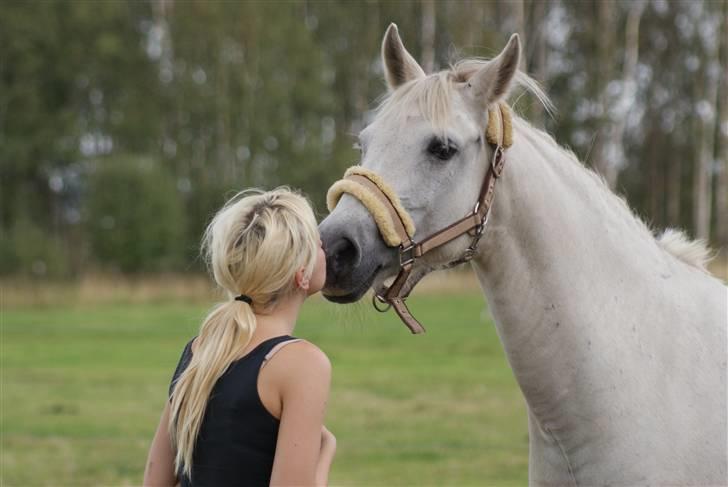 New Forest Chilli <33 My angel <33 † - Chilli min lille Smukke Prinsesse <,33 Elsker dig så inderliget, det slet ikke til at beskrive <33333 , Tak for alle de fantastiske år du har givet mig, og kommer til at give  <33 billede 1