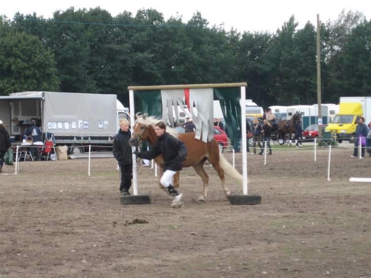 Haflinger WELTENSTOLZ - Agility til Storehestedag 2007, blev ca. nr.6 ud af 28.  Tid: 1,24.72  billede 20