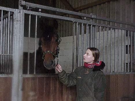 Dansk Varmblod Lori - Min hest  - Den dag hun blev min. 26 marts 2002 billede 5