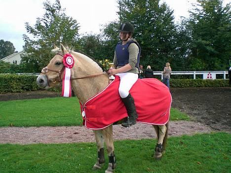 Fjordhest Vængets Liza - fynsmester i ponygalop 2006 billede 1