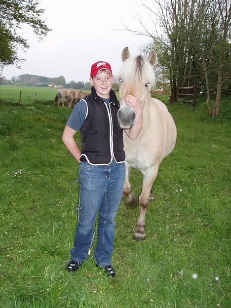 Fjordhest Vængets Liza - liza og anne billede 7