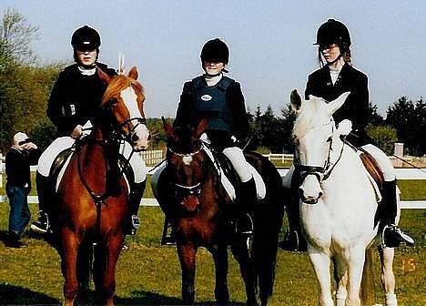 Anden særlig race Jackie - os til stævne <"33 billede 10