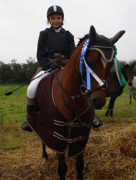 New Forest Kvægenbjergs Scheik RIP - Scheik og jeg efter vores første udendørsstævne <3 Fotograf: Anne M billede 12