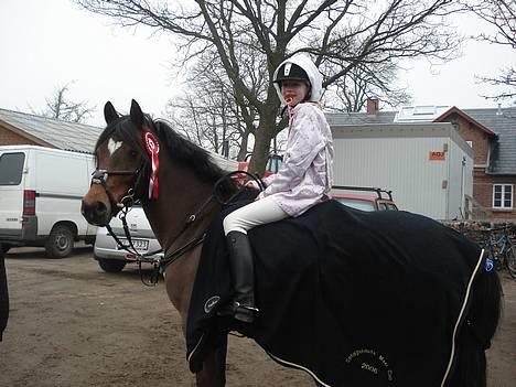 New Forest Kvægenbjergs Scheik RIP - Louise og Scheik <3 billede 13