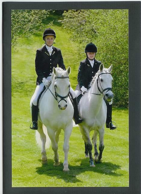 Anden særlig race *Allégårdens Cajong* - Her skridter mig og Cajong sammen med min storesøster og og hendes pony / Cajongs ven Tirol ! billede 15