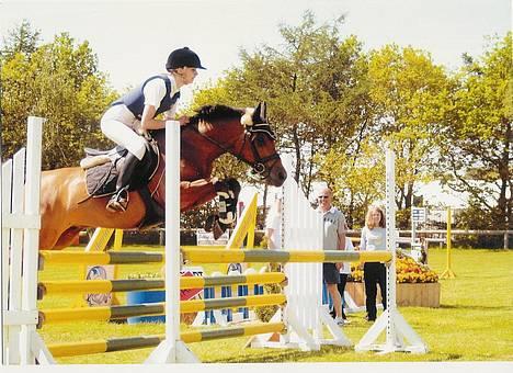 Anden særlig race Speedy T. S. SOLGT :'/ <3 - Lige lidt trav fra en vinterdag :) billede 12