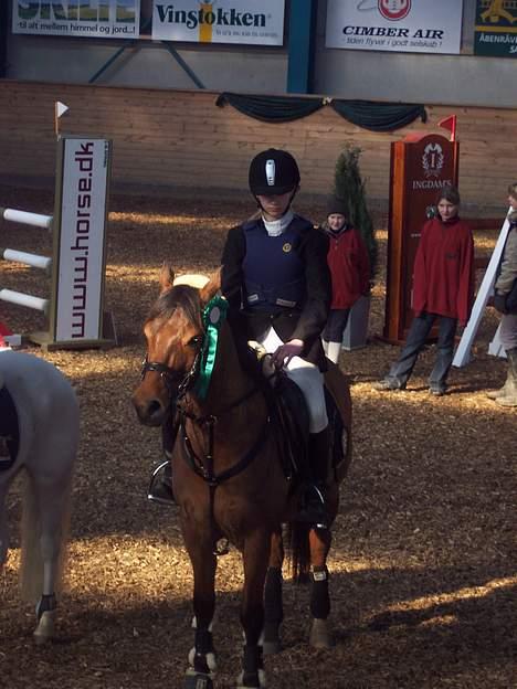 Anden særlig race Speedy T. S. SOLGT :'/ <3 - Præmieoverrækkelse til vores første landsstævne 4 plads i MB billede 14