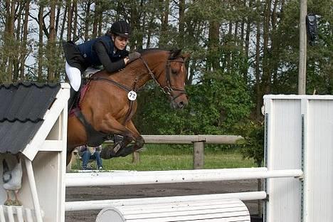 Hollandsk Sportspony Sjanoe - solgt -  li et sjovt hop . :b maj 2005 billede 10