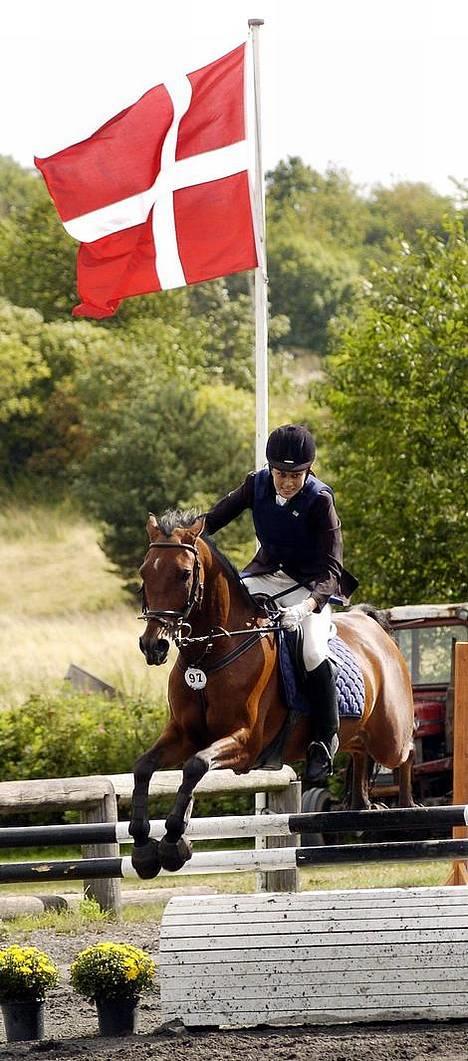 Hollandsk Sportspony Sjanoe - solgt - Landsstævne på Kallehavegaard, vi var i avisen med det billed her ;D 2005 billede 12