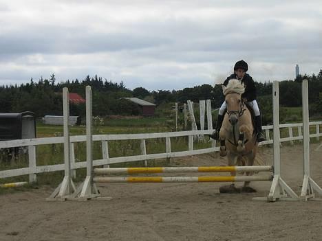 Anden særlig race Klaus - Hop Klaus HOP! september 2005 billede 9