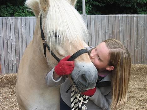 Anden særlig race Klaus - Tænker ikk på hvad den mule har været nede i... Vistnok sommer 2005 billede 11