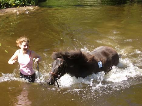 Islænder Frøya frå Eide<3 - Springe litt!! kig ik på mig =P eg ser snål ud =P 10.juni =) billede 15