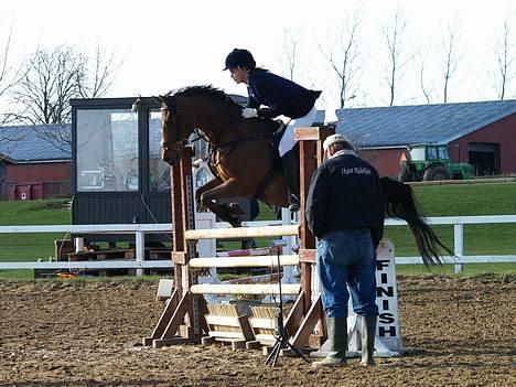 Hollandsk Sportspony Sjanoe - solgt -  distriktsstævne mb Ikast billede 17
